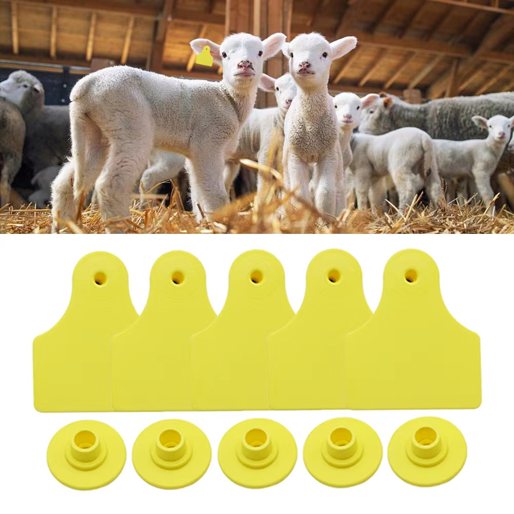 20個 40*50mm ヤギ、羊、牛、豚用の無地の耳タグ 家 - Livestock Ear Tag のレビューと価格